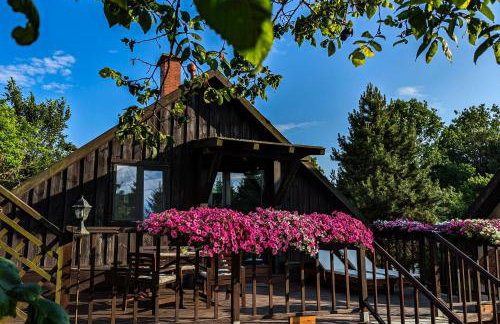 Siedlisko Dzika Kaczka - Foto 2