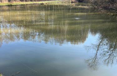 Siedlisko Wyżne - Foto 30