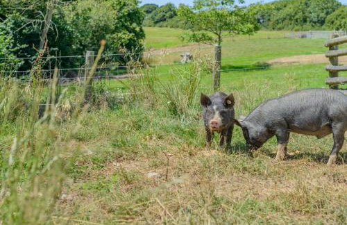 2 Bed in Bude oc-00952 - Foto 22