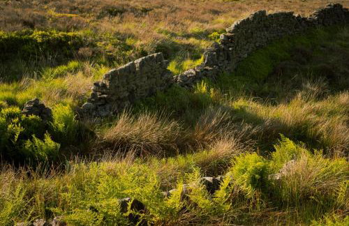 Daisy Bank Camp - Photo 21