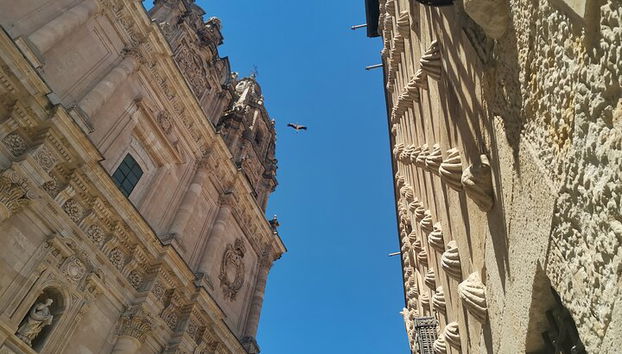 Visita obligada a pie por Salamanca (podría ser bilingüe) - Foto 3, Casa de las Conchas y Clerecia