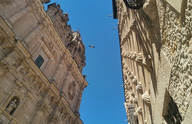 Visita obligada a pie por Salamanca (podría ser bilingüe) - Foto 3