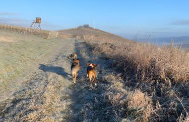 das rote Ferienhaus Terlinden - Foto 45