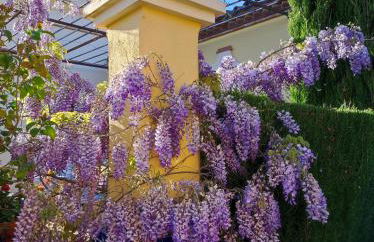 Andalusian experience - Foto 10