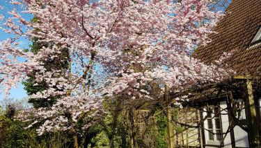 Lieblingsplatz - Foto 4