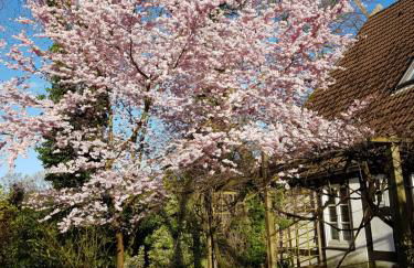 Lieblingsplatz - Foto 4