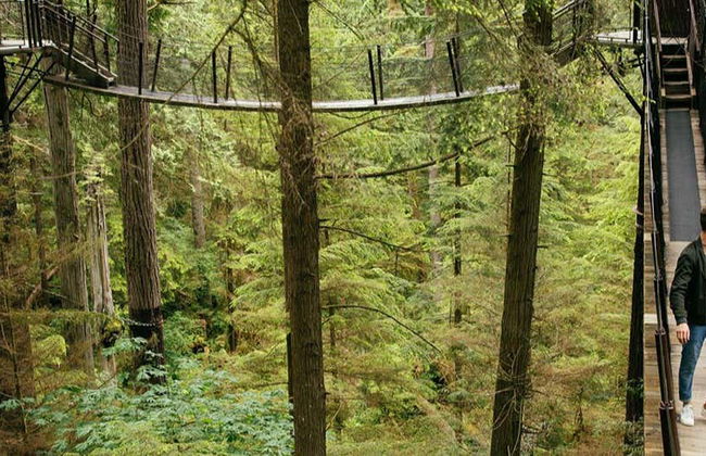 Ticket to Capilano Suspension Bridge Park - Foto 1