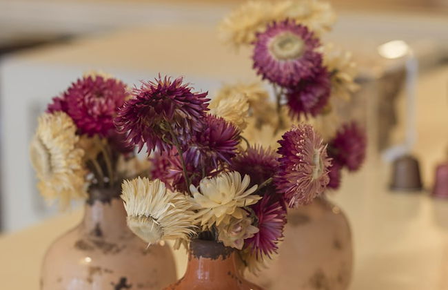 Rose & Garden - Eiffel Tower - Photo 29