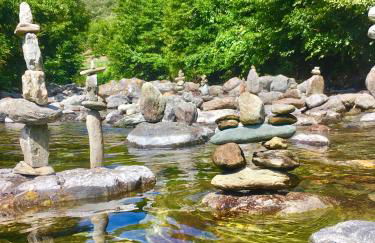 Grande maison cévenole authentique - Foto 24