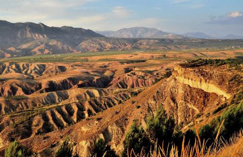 Apartahotel Al Alba - Foto 14