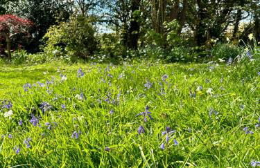 Peaceful cottage with private garden - Foto 34