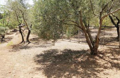 Villa CIGALONS en pleine pinède avec PISCINE - Foto 16