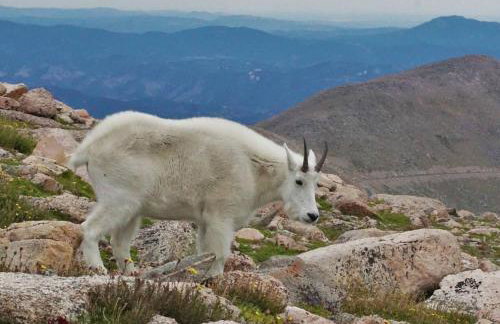 Warm Mountain Escape Secluded Peaceful Hot Tub - Foto 11