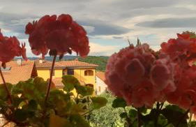 Chianti Roses Monteriggioni - Foto 18