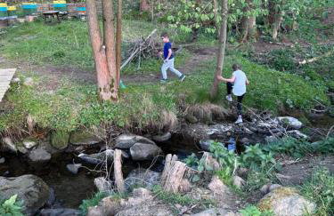 Smrek Sokolec Agroturystyka - Foto 15