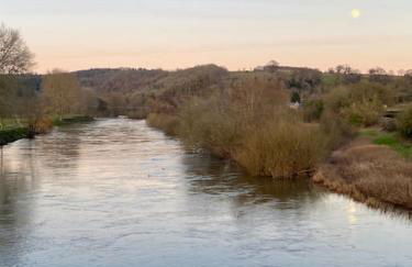 cosy cottage on banks of River Wye - Foto 35