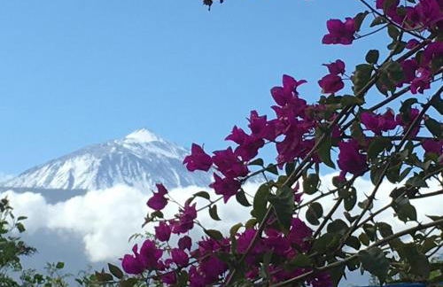 Ankerplatz - casa Juseli - Ruhe und Erholung - Foto 1