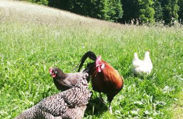 Malterlehen-Berchtesgaden - Foto 8