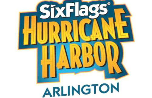 Pickleball Court - Walk to AT&T Stadium, Globe Life, Six Flags, Texas Live! & more - Foto 63