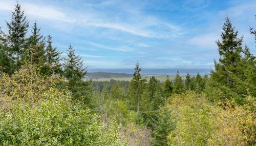 Pacific View Cottage - 100 High with Ocean Views - Foto 3