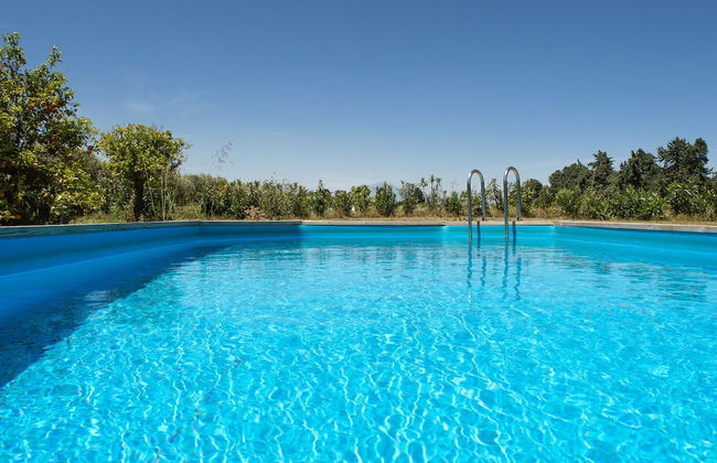 Tenuta San Calogero - Foto 50