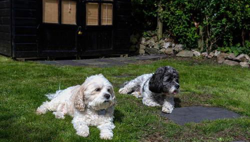 Red Robin Cottage - Foto 4, Other