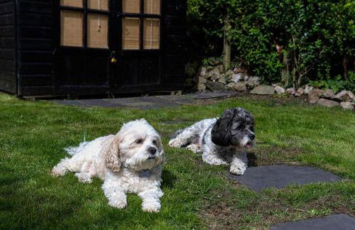 Red Robin Cottage - Foto 4