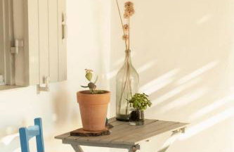 Villa OMalley Into the Cycladic wild - Foto 13