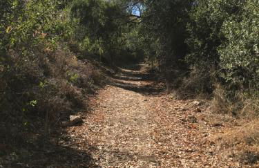 Studio Views Apartment, Cortijo Fruitful Hills - Photo 51
