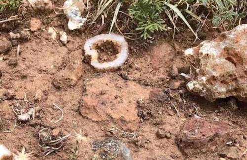 Cottonwood Creek Cabins - Alpine, TX - Foto 41