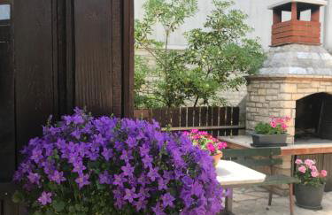 App Sorgo - Photo 37