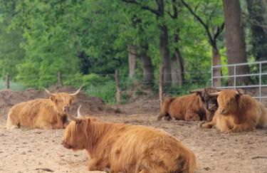 Eulennest Emsland - Foto 22