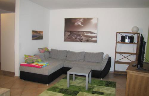 Haus-Deichläufer - Foto 3