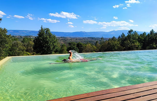 Casas do Pinheiro Grande - Foto 1