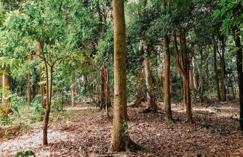 Recanto das Videiras - Casa em Vinícola - Foto 109