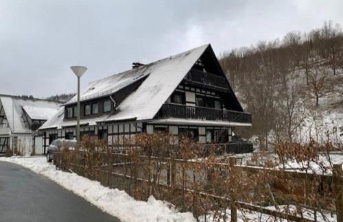 Dubbel appartement tot 14 personen Westfeld - Foto 10