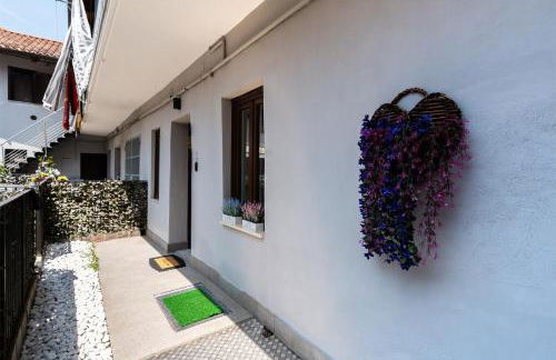 Margot Family - Photo 39