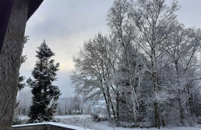 Large Hunting Lodge With Enormous Beautiful Garden - Photo 29