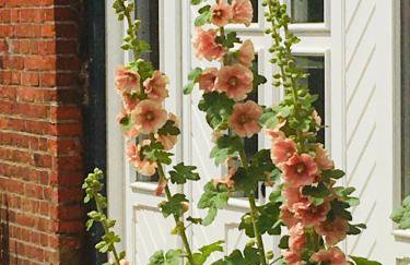 Ferienwohnanlage Sturmhöhe - Foto 75