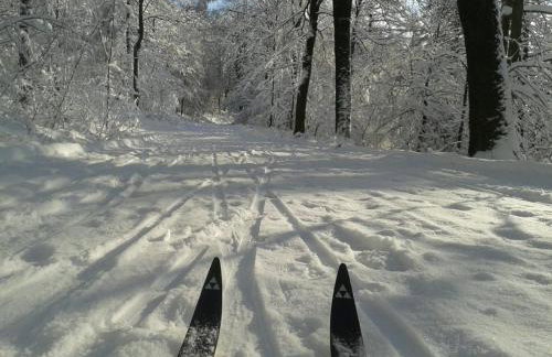 Attendorner Burgblick - Photo 19