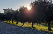 Antica Dimora - Foto 34