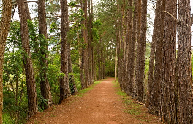 Yellow Village - Foto 43