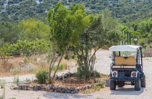 Cozy and Chic Little House with Pool Ivinj - 3 - Foto 23