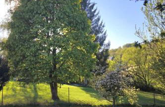 Apartment Sander by Interhome - Foto 6