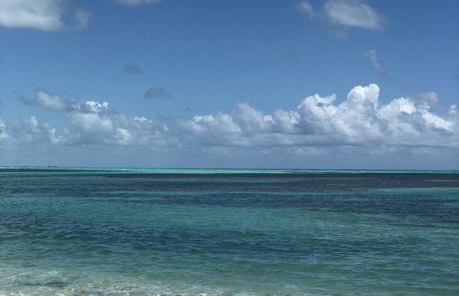 Shaka Caye - Photo 59