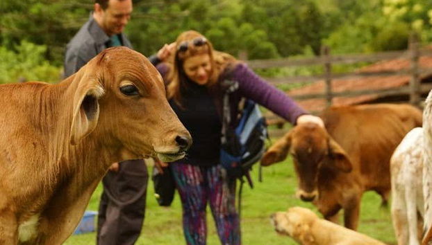Fazenda Esperança Excursion - Foto 5