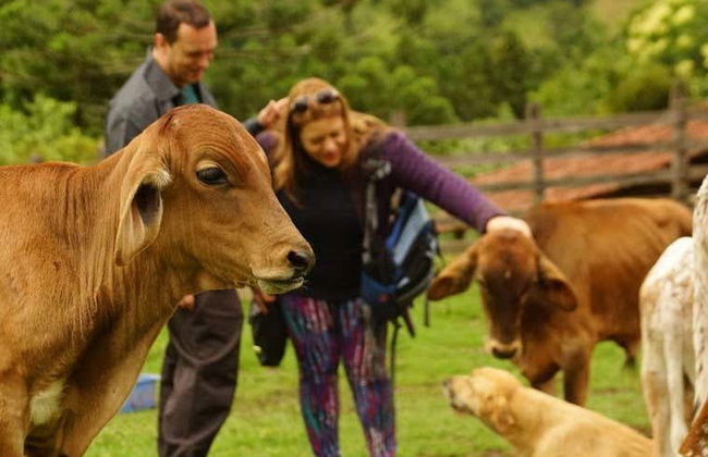 Excursión a Fazenda da Esperança - Foto 5