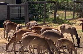 Hidden Haven - Foto 39