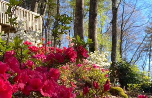 Silver Run Cottage - Foto 26