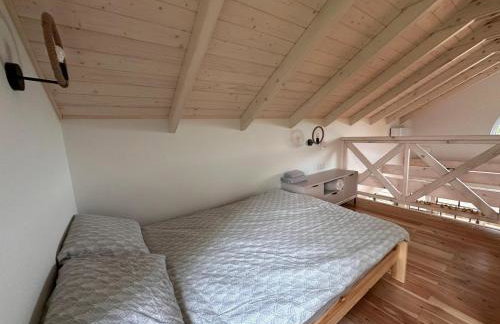 Farma Albert Korzenie - Foto 50